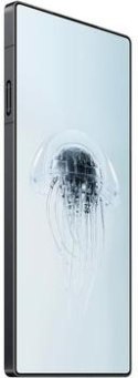 Smartfon REDMAGIC 10 Pro 5G 12/256GB Shadow