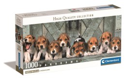 Clementoni: Puzzle 1000el. HQ Panorama Compact - Szczeniaki rasy Beagle