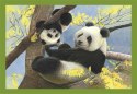 Clementoni: Puzzle 4w1 - Mamy i ich dzieci