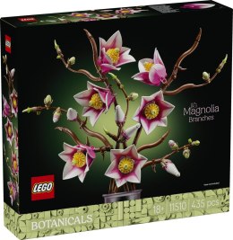 11510 | Gałązki magnolii