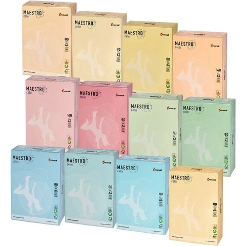 Papier Maestro Color A4/80g Pastel ircha (500)