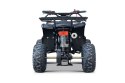 Pojazd Quad Spalinowy WILDPEAK 110cc Czarny