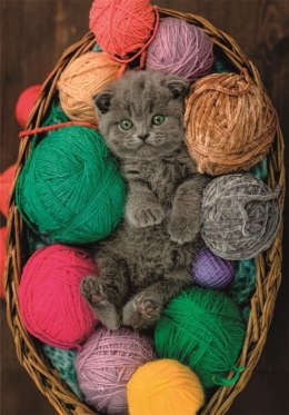 Clementoni - Puzzle 500el. Fluffy Kitten