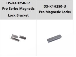 Zwora Hikvision DS-K4H250S