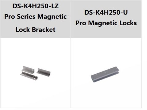 Zwora Hikvision DS-K4H250S