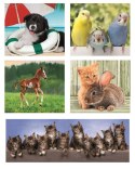 Clementoni: Puzzle 10w1 - Animal Friends