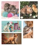 Clementoni: Puzzle 10w1 - Animal Friends