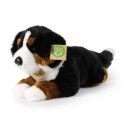 Rappa - Pluszowa realistyczna maskotka Berneński Pies Pasterski leżący 34 cm Eco-Friendly