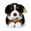 Rappa - Pluszowa realistyczna maskotka Berneński Pies Pasterski leżący 34 cm Eco-Friendly