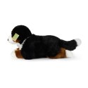 Rappa - Pluszowa realistyczna maskotka Berneński Pies Pasterski leżący 34 cm Eco-Friendly