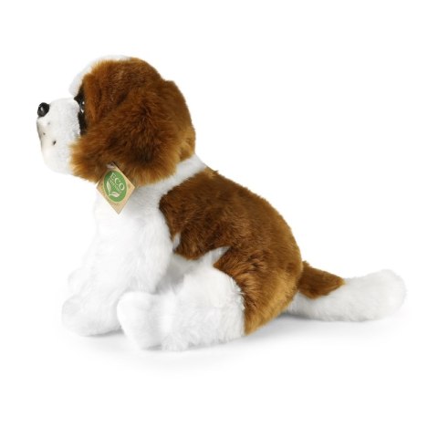 Rappa - Pluszowa realistyczna maskotka Pies Bernardyn siedzący 30 cm Eco-Friendly