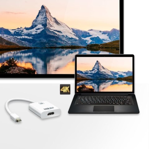 ATEN VC981-AT adapter kablowy Mini DisplayPort HDMI Biały