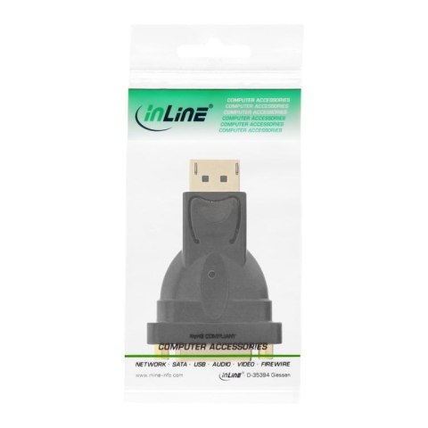 InLine 17199J adapter kablowy DisplayPort male DVI-D Czarny