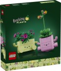11506 | Bujające się roślinki