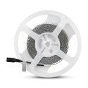 Taśma LED V-TAC SAMSUNG CHIP 2835 600LED 12V IP20 12W/m VT-5-120 6000K 1200lm 3 lata gwarancji