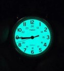 ZEGAREK UNISEX TIMEX T2N654 + BOX