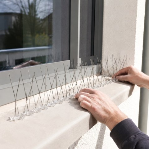 Kolce przeciw ptakom, 40 kolców, stal nierdzewna, podstawa poliwęglan UV, do parapetów i gzymsów, 50 cm, wys. 11 cm