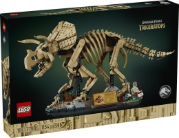 77985 | Szkielety dinozaurów: Triceratops