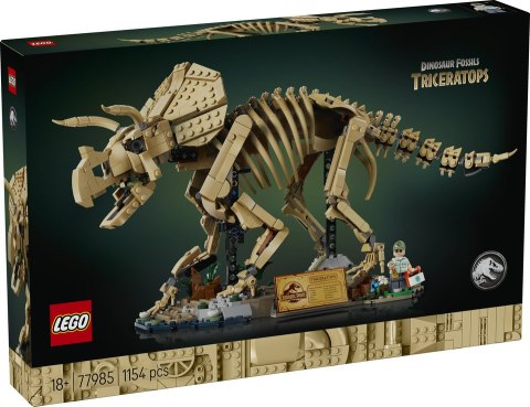 77985 | Szkielety dinozaurów: Triceratops