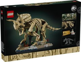 77985 | Szkielety dinozaurów: Triceratops