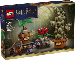 76474 | Rośliny z Lekcji Zielarstwa w Hogwarcie