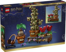 76474 | Rośliny z Lekcji Zielarstwa w Hogwarcie