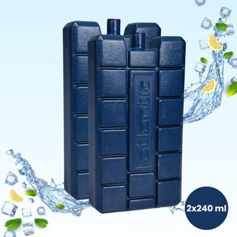 Wkład CEGECO 2 x 240ml Kamai