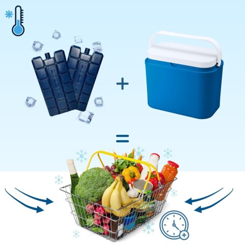 Wkład CEGECO 2 x 240ml Kamai