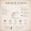 Barometr Burzowy Fitzroya Globus - Dekoracja Biurka Gadżet - BAW11003