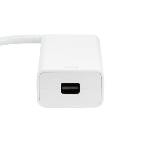 LogiLink UA0360 adapter kablowy 0,15 m USB Type-C Mini DisplayPort Biały