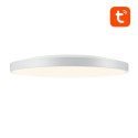 Lampa sufitowa smart GOSUND LB11 32cm Wi-Fi BT RGBCW 1920lm