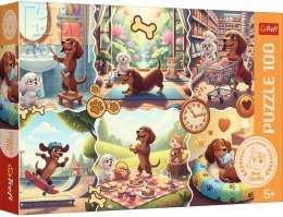 Trefl: Puzzle 100el. - Długi dzień jamnika