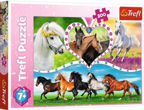Trefl: Puzzle 200el. - Piękne konie