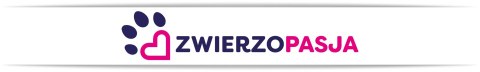 Domek dla kota z drapakiem OSORIO