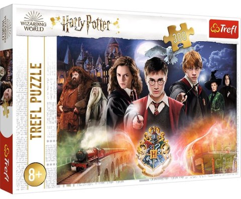Tajemniczy Harry Potter | Puzzle 300el. | Trefl