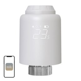 Inteligentna głowica termostatyczna MOES ZTRV-PJ-601-MS