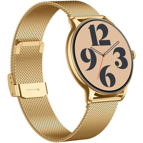 SMARTWATCH DAMSKI GRAVITY GT31-2 - AMOLED, DODATKOWY PASEK (sg052a)