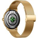 SMARTWATCH DAMSKI GRAVITY GT31-2 - AMOLED, DODATKOWY PASEK (sg052a)