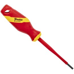 WKRĘTAK PŁASKI 4.0 DIY-SL1240100-V IZOLOWANY BRADAS