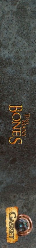 GRA TOO MANY BONES: GASKET - dodatek - PORTAL GAMES