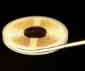 TAŚMA LED LED-COB-24V/8W-NW/5M-ECO - 4000 K MW Lighting