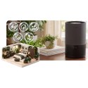 Nawilżacz powietrza ewaporacyjny 350 ml/h 5l Berdsen BD-503