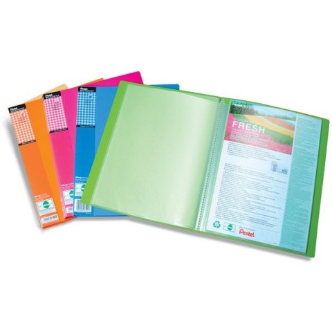 ALBUM OFERTOWY PENTEL A4/20K SELEDYNOWY