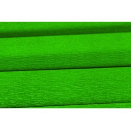 BIBUŁA MARSZCZONA ZIELONA