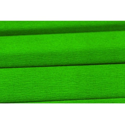 BIBUŁA MARSZCZONA ZIELONA