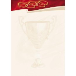 DYPLOM GALERIA PAPIERU A4 SPORT (25)