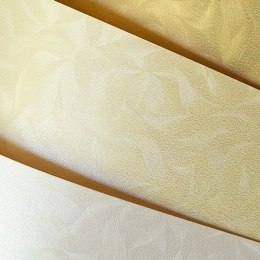 KARTON OZDOBNY A4/220g OLYMPIA PERŁOWA BIEL (20)