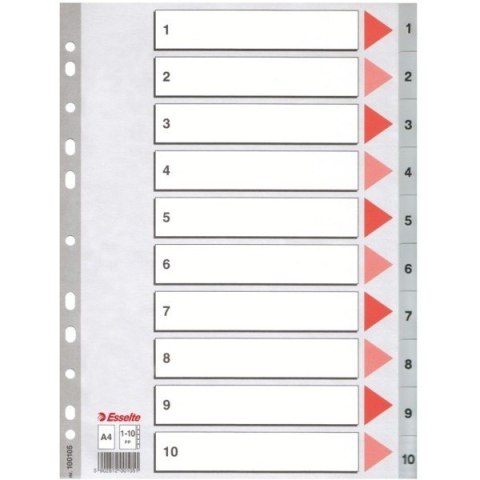 PRZEKŁADKI PP ESSELTE A4 1-10