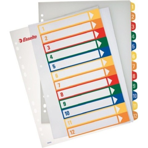 PRZEKŁADKI PP ESSELTE A4 1-12 DO NADRUKU