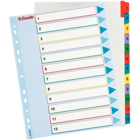 PRZEKŁADKI MYLAR ESSELTE A4 1-12